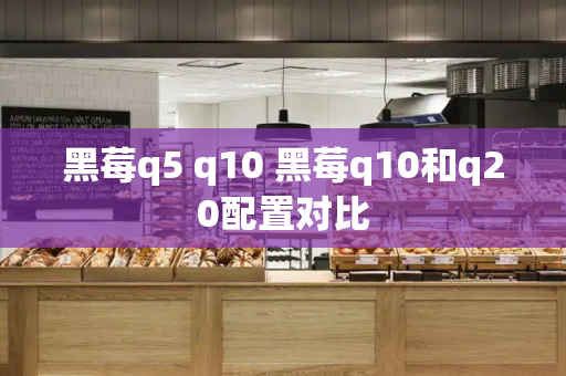 黑莓q5 q10 黑莓q10和q20配置对比-第1张图片-星选测评