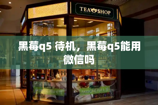 黑莓q5 待机，黑莓q5能用微信吗-第1张图片-星选测评