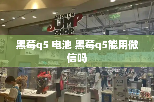黑莓q5 电池 黑莓q5能用微信吗-第1张图片-星选测评