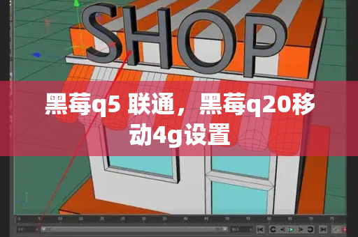 黑莓q5 联通，黑莓q20移动4g设置