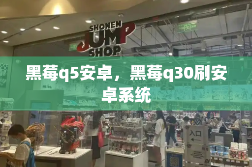 黑莓q5安卓，黑莓q30刷安卓系统-第1张图片-星选测评