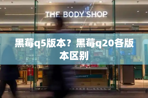 黑莓q5版本？黑莓q20各版本区别-第1张图片-星选测评