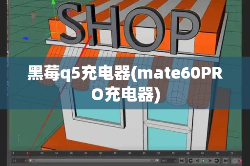黑莓q5充电器(mate60PRO充电器)-第1张图片-星选测评