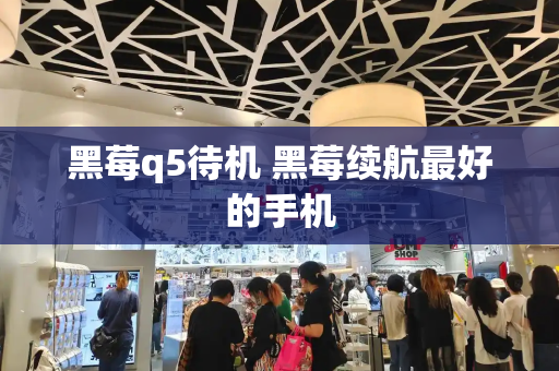黑莓q5待机 黑莓续航最好的手机