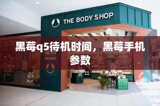 黑莓q5待机时间，黑莓手机参数-第1张图片-星选测评
