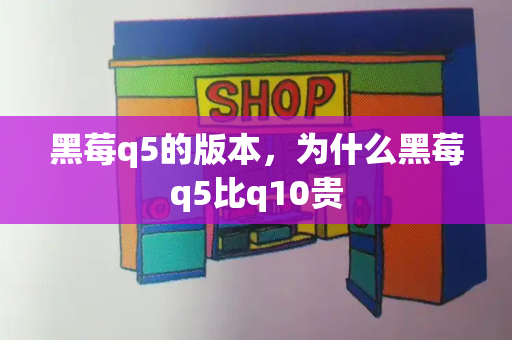 黑莓q5的版本，为什么黑莓q5比q10贵