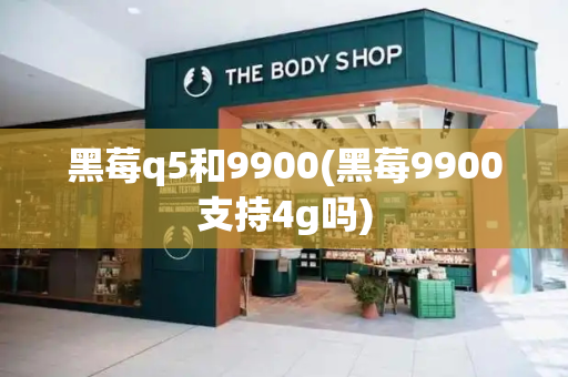 黑莓q5和9900(黑莓9900支持4g吗)