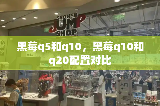 黑莓q5和q10，黑莓q10和q20配置对比