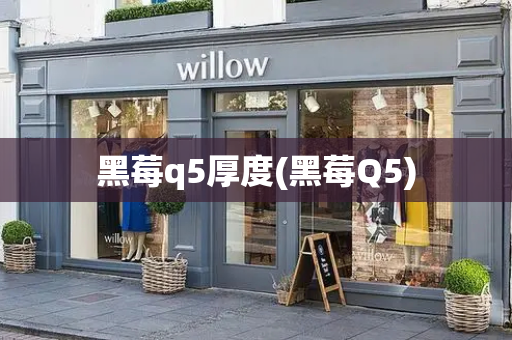 黑莓q5厚度(黑莓Q5)