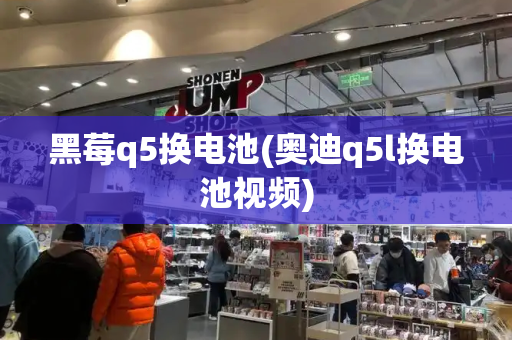 黑莓q5换电池(奥迪q5l换电池视频)