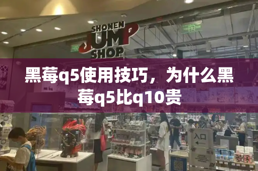 黑莓q5使用技巧，为什么黑莓q5比q10贵