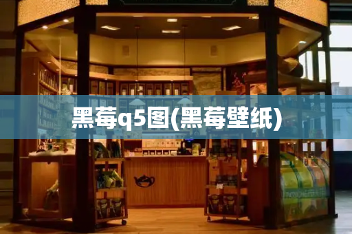 黑莓q5图(黑莓壁纸)-第1张图片-星选测评