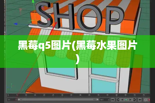 黑莓q5图片(黑莓水果图片)