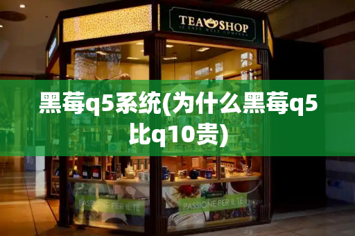 黑莓q5系统(为什么黑莓q5比q10贵)-第1张图片-星选测评