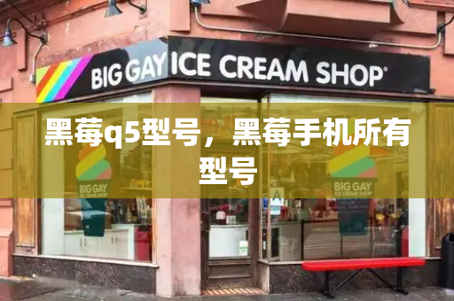 黑莓q5型号，黑莓手机所有型号-第1张图片-星选测评