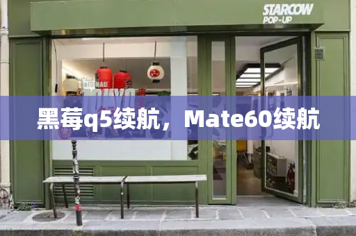 黑莓q5续航，Mate60续航-第1张图片-星选测评