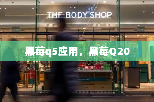 黑莓q5应用，黑莓Q20