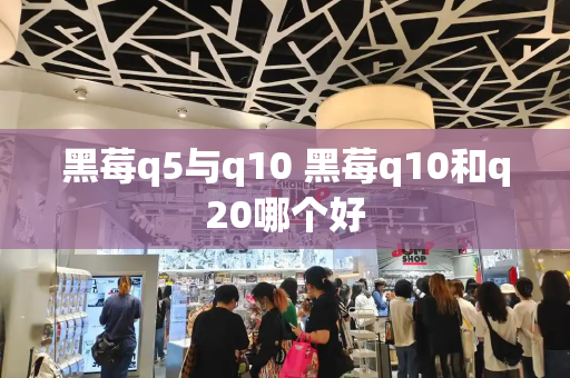 黑莓q5与q10 黑莓q10和q20哪个好-第1张图片-星选测评