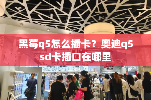 黑莓q5怎么插卡？奥迪q5sd卡插口在哪里-第1张图片-星选测评