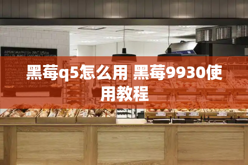 黑莓q5怎么用 黑莓9930使用教程