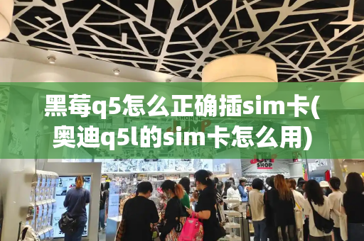 黑莓q5怎么正确插sim卡(奥迪q5l的sim卡怎么用)-第1张图片-星选测评