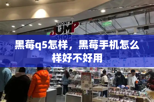 黑莓q5怎样，黑莓手机怎么样好不好用-第1张图片-星选测评