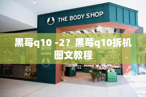 黑莓q10 -2？黑莓q10拆机图文教程