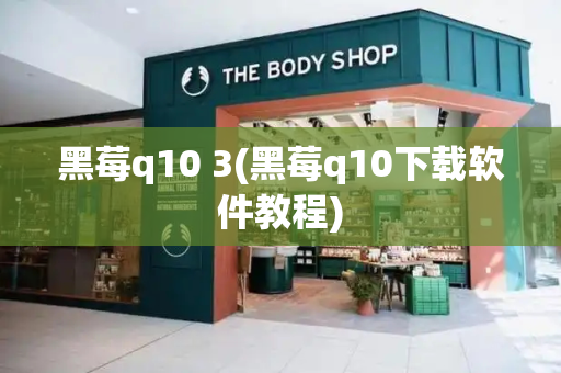黑莓q10 3(黑莓q10下载软件教程)