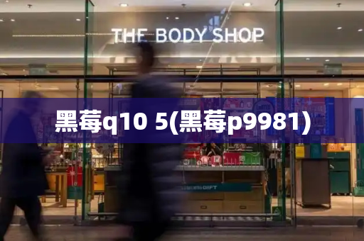 黑莓q10 5(黑莓p9981)