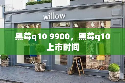 黑莓q10 9900，黑莓q10上市时间