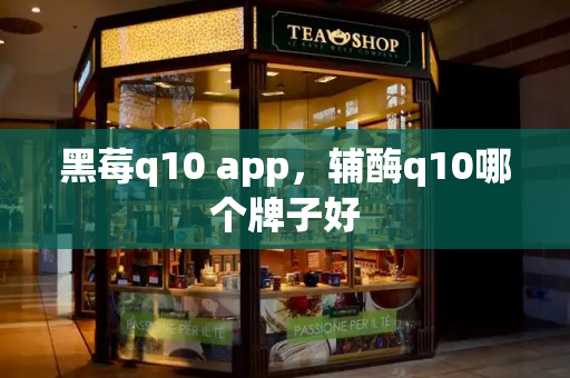 黑莓q10 app，辅酶q10哪个牌子好