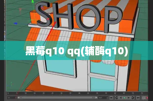黑莓q10 qq(辅酶q10)