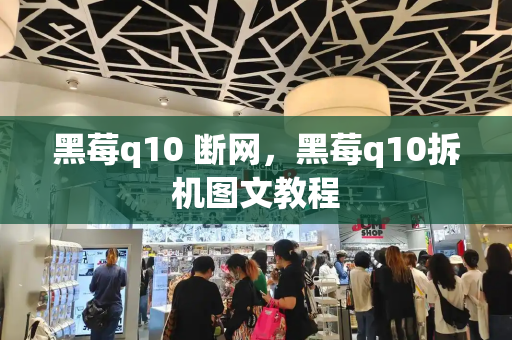 黑莓q10 断网，黑莓q10拆机图文教程