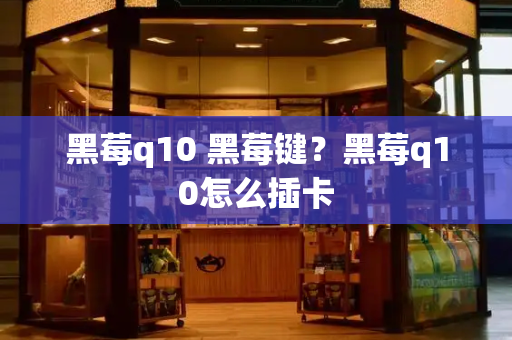 黑莓q10 黑莓键？黑莓q10怎么插卡-第1张图片-星选测评