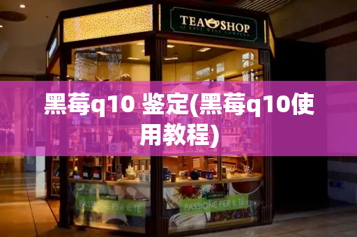 黑莓q10 鉴定(黑莓q10使用教程)