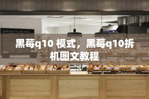 黑莓q10 模式，黑莓q10拆机图文教程