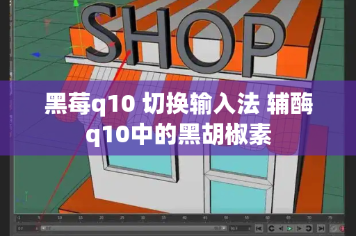 黑莓q10 切换输入法 辅酶q10中的黑胡椒素
