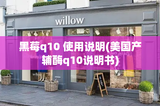 黑莓q10 使用说明(美国产辅酶q10说明书)-第1张图片-星选测评