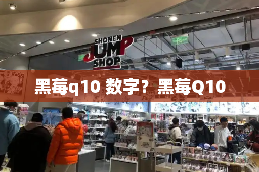 黑莓q10 数字？黑莓Q10