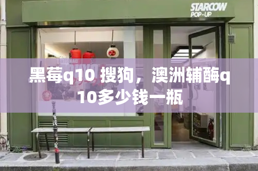 黑莓q10 搜狗，澳洲辅酶q10多少钱一瓶