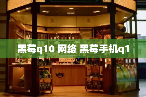 黑莓q10 网络 黑莓手机q10-第1张图片-星选测评