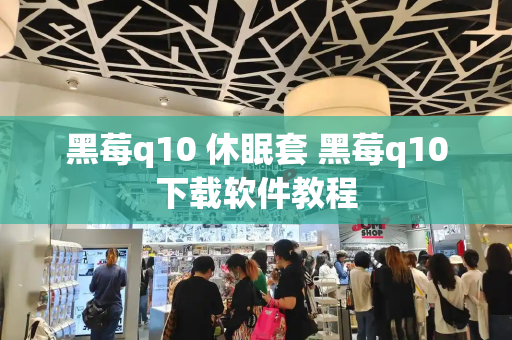 黑莓q10 休眠套 黑莓q10下载软件教程