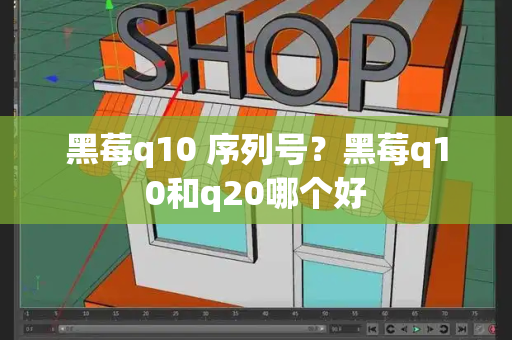 黑莓q10 序列号？黑莓q10和q20哪个好