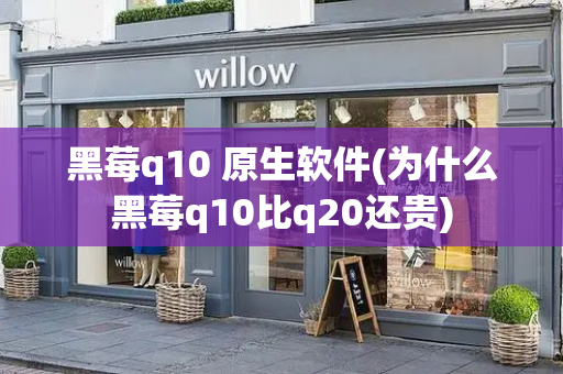 黑莓q10 原生软件(为什么黑莓q10比q20还贵)