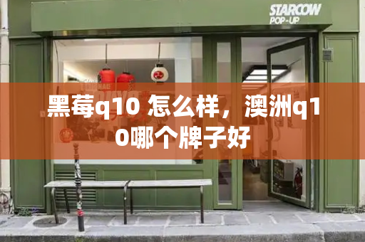 黑莓q10 怎么样，澳洲q10哪个牌子好
