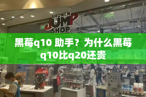 黑莓q10 助手？为什么黑莓q10比q20还贵