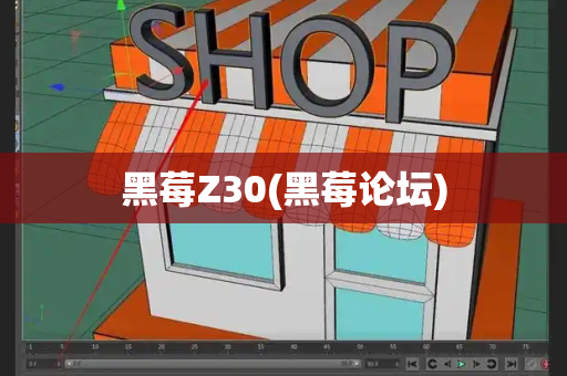 黑莓Z30(黑莓论坛)-第1张图片-星选测评