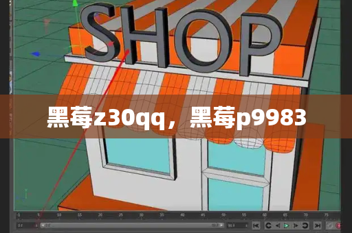 黑莓z30qq，黑莓p9983
