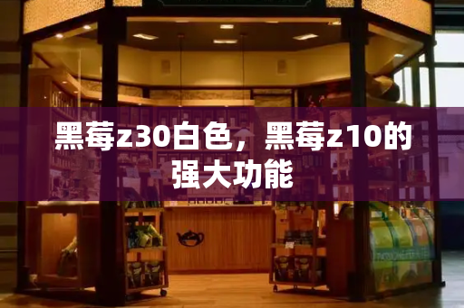 黑莓z30白色，黑莓z10的强大功能