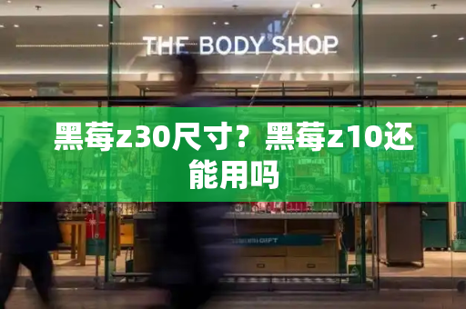 黑莓z30尺寸？黑莓z10还能用吗-第1张图片-星选测评